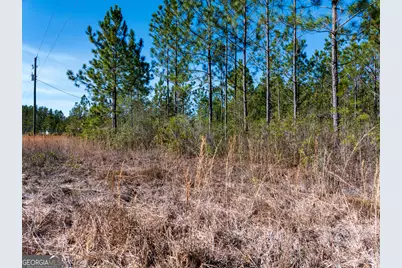 15.56 Acres N McDonald Road, Waycross, GA 31503 - Photo 13