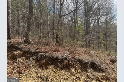 0 Laurel Branch, East Ellijay, GA 30540 - Photo 7