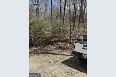 0 Laurel Branch, East Ellijay, GA 30540 - Photo 11