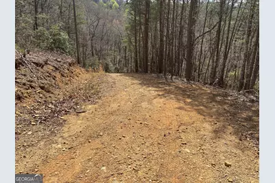 0 Laurel Branch, East Ellijay, GA 30540 - Photo 9