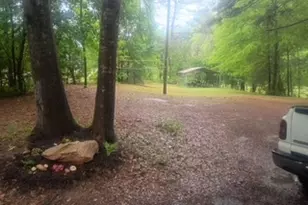 5429 Hwy 123, Toccoa, GA 30577 - Photo 39