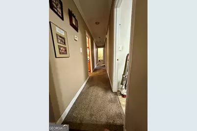 171 Hoyt Road, Milner, GA 30257 - Photo 21