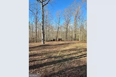 171 Hoyt Road, Milner, GA 30257 - Photo 7