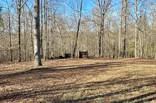 171 Hoyt Rd, Milner, GA 30257 - Photo 7