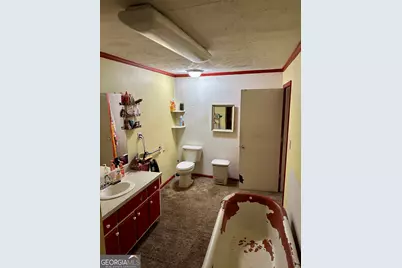 171 Hoyt Road, Milner, GA 30257 - Photo 25
