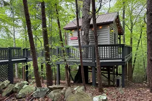 290 Turkey Trot Road, Morganton, GA 30560 - Photo 11