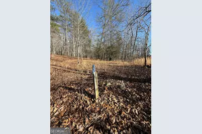 196 Mount Pleasant Church Road, Cleveland, GA 30528 - Photo 3