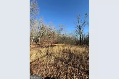 196 Mount Pleasant Church Road, Cleveland, GA 30528 - Photo 5