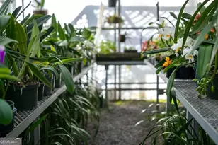 490 Red Wolf Run, Franklin, NC 28734 - Photo 81