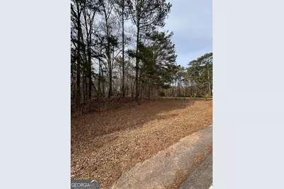 0 Tussahaw Point Drive, Jackson, GA 30233 - Photo 3