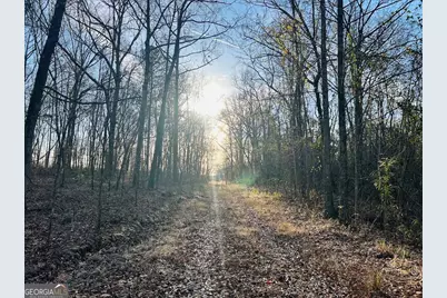 0 Bickley Road #TRACT A, Butler, GA 31006 - Photo 3