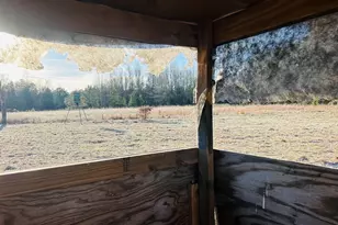 0 Bickley Rd, Butler, GA 31006 - Photo 1