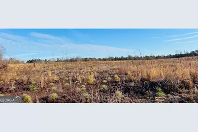 0 Bickley Road #TRACT A, Butler, GA 31006 - Photo 13