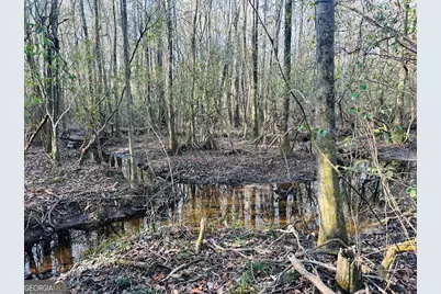 0 Bickley Road #TRACT A, Butler, GA 31006 - Photo 35