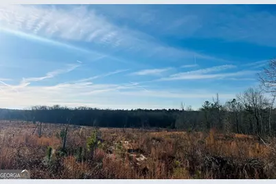 0 Bickley Road #TRACT A, Butler, GA 31006 - Photo 43