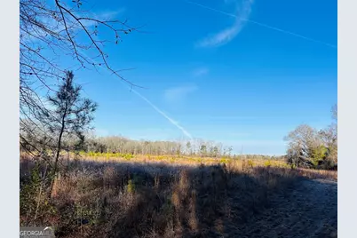 0 Bickley Road #TRACT A, Butler, GA 31006 - Photo 33