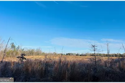 0 Bickley Road #TRACT A, Butler, GA 31006 - Photo 17