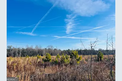 0 Bickley Road #TRACT A, Butler, GA 31006 - Photo 41