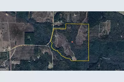 0 Bickley Road #TRACT A, Butler, GA 31006 - Photo 45