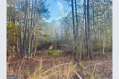 0 Bickley Road #TRACT A, Butler, GA 31006 - Photo 7