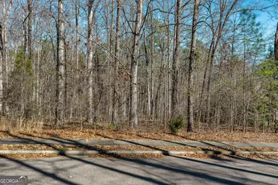 350 Antebellum Way, Fayetteville, GA 30215 - Photo 21