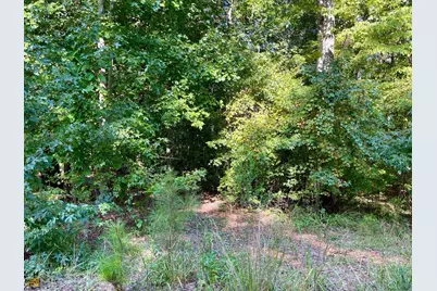 350 Antebellum Way, Fayetteville, GA 30215 - Photo 5