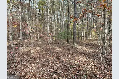 350 Antebellum Way, Fayetteville, GA 30215 - Photo 3