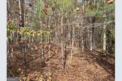 350 Antebellum Way, Fayetteville, GA 30215 - Photo 13