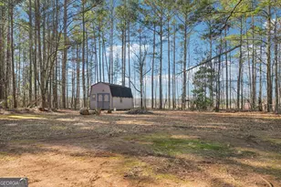 137 W James Cir, Hampton, GA 30228 - Photo 29