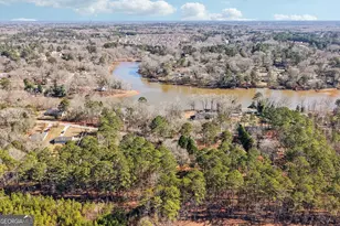 137 W James Cir, Hampton, GA 30228 - Photo 45