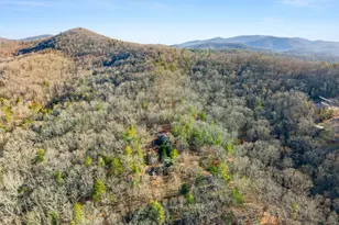 234 Old Indian Trail, Blue Ridge, GA 30513 - Photo 43