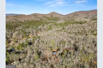 234 Old Indian Trail, Blue Ridge, GA 30513 - Photo 47