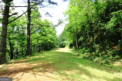 29 Cool Spring Lane, Clayton, GA 30525 - Photo 7
