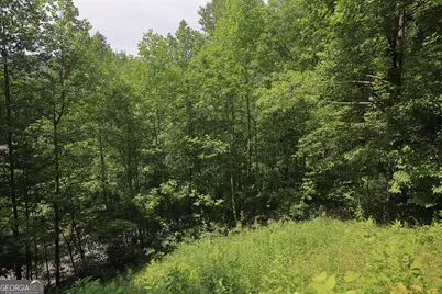 29 Cool Spring Lane, Clayton, GA 30525 - Photo 13