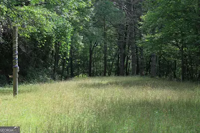 29 Cool Spring Lane, Clayton, GA 30525 - Photo 5