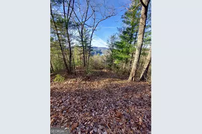 0 Lot 16 Rabun Bluffs #16, Lakemont, GA 30552 - Photo 13