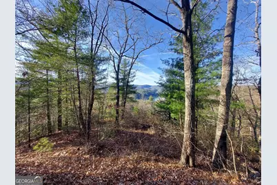 0 Lot 16 Rabun Bluffs #16, Lakemont, GA 30552 - Photo 5