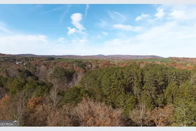 1045 Fincher Road, Canton, GA 30114 - Photo 69