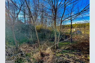 16 Ann's Way, Blairsville, GA 30512 - Photo 15