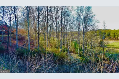 16 Ann's Way, Blairsville, GA 30512 - Photo 11