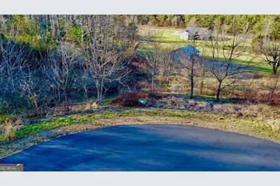 16 Ann's Way, Blairsville, GA 30512 - Photo 3