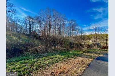 16 Ann's Way, Blairsville, GA 30512 - Photo 9