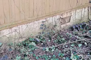 1810 Sandy Flat Rd, Bowdon, GA 30108 - Photo 13