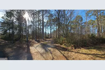 1810 Sandy Flat Road, Bowdon, GA 30108 - Photo 1