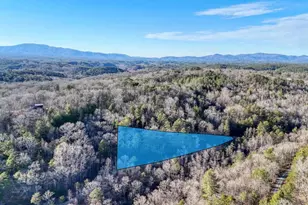 250 Wolf Creek Circle, Mineral Bluff, GA 30559 - Photo 13