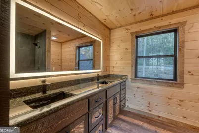250 Wolf Creek Circle, Mineral Bluff, GA 30559 - Photo 45