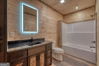 250 Wolf Creek Circle, Mineral Bluff, GA 30559 - Photo 53