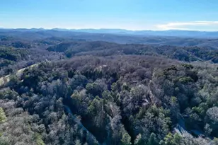 250 Wolf Creek Circle, Mineral Bluff, GA 30559 - Photo 15