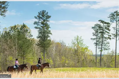 1081 Apalachee Ridge, Madison, GA 30650 - Photo 101