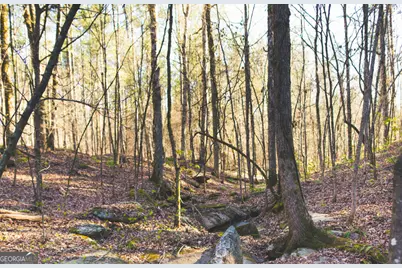 1081 Apalachee Ridge, Madison, GA 30650 - Photo 105